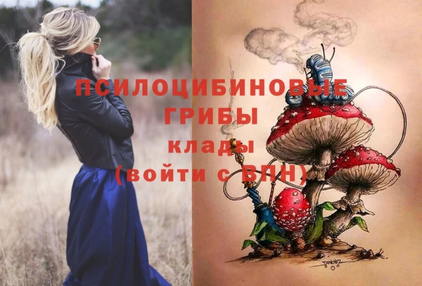 соль ск Алексеевка