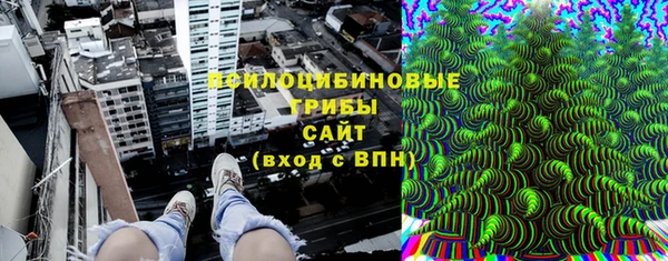 соль ск Алексеевка